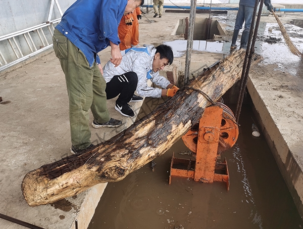 牡丹江市某一发电站闸门进行水下清理工作