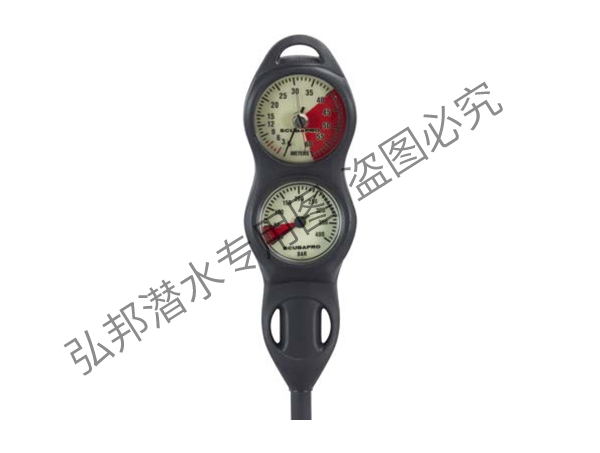 二表式仪表组